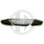 Grille de calandre