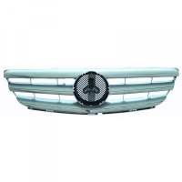 Grille de Calandre Classe B W245