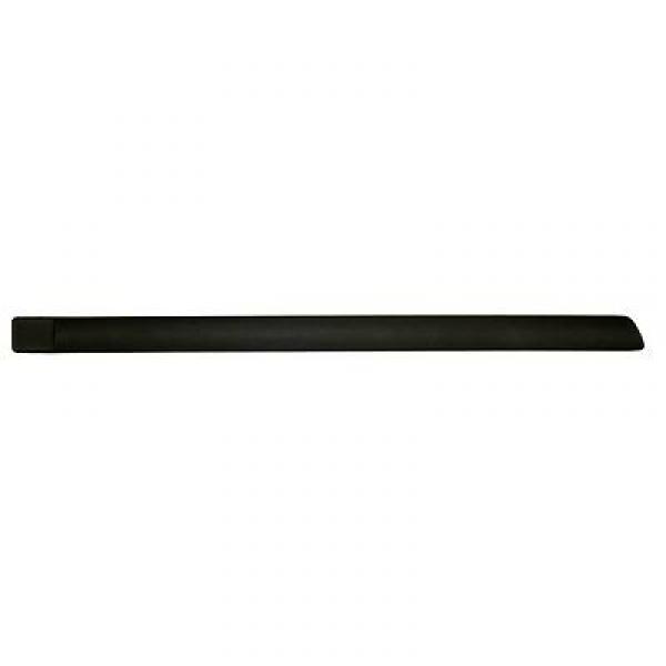 Moulure pour portière Ford Focus 2