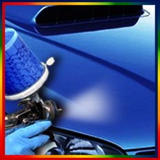 Peinture Capot (option)